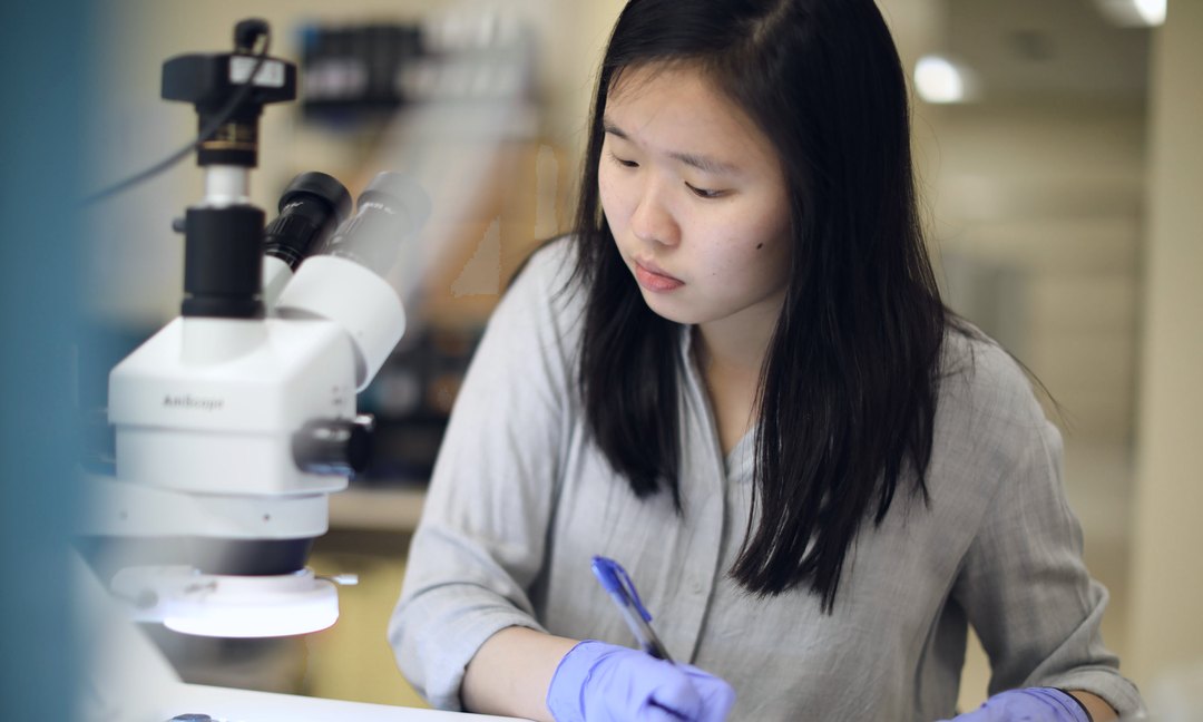 Engineer recording inspection results beside a microscope